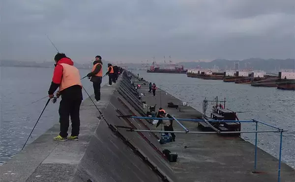 「武庫川一文字でのアジのませ釣りで51cmハネ（シーバス）を手中【兵庫】」の画像