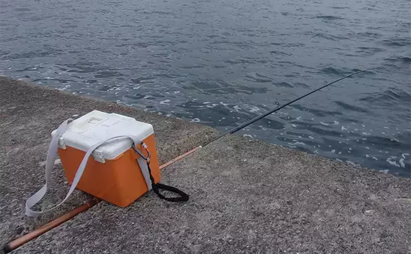 「武庫川一文字でのアジのませ釣りで51cmハネ（シーバス）を手中【兵庫】」の画像