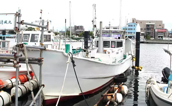 「清風丸」現役船長が一目おく釣り人は【カワハギを100匹以上釣る達人】