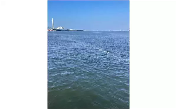 「25度以上の高水温になると魚が釣りづらい理由　キーワードは「溶存酸素」」の画像