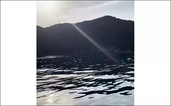 「八角形の養殖筏で五目釣り【三重・南伊勢】サビキは入れ食い＆釣れすぎ注意報」の画像