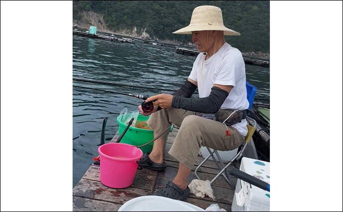 八角形の養殖筏で五目釣り【三重・南伊勢】サビキは入れ食い＆釣れすぎ注意報