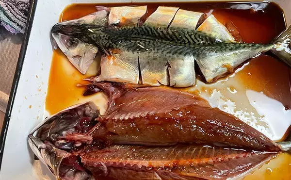 「八角形の養殖筏で五目釣り【三重・南伊勢】サビキは入れ食い＆釣れすぎ注意報」の画像