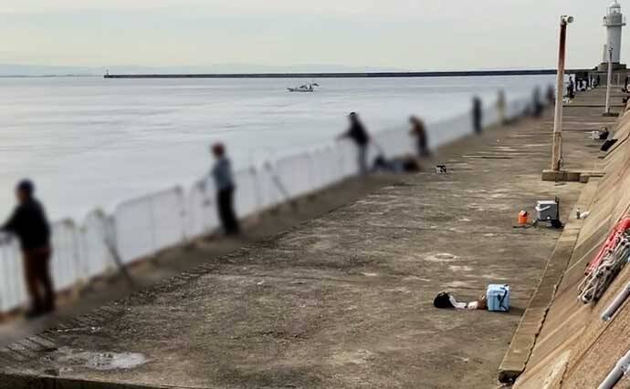 「テクニカルだからこそ面白い？」大阪南港魚つり園でのショアジギ釣行でサゴシのバラシ連発