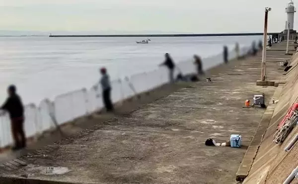 「「テクニカルだからこそ面白い？」大阪南港魚つり園でのショアジギ釣行でサゴシのバラシ連発」の画像