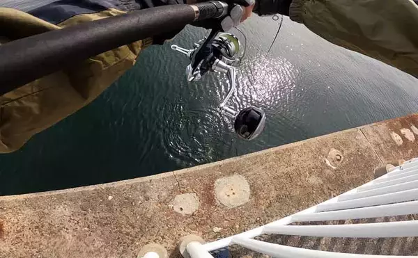 「「テクニカルだからこそ面白い？」大阪南港魚つり園でのショアジギ釣行でサゴシのバラシ連発」の画像