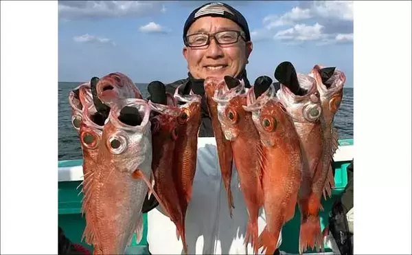「【沖釣り釣果速報】茱崎沖の中深海釣りでマダラ好食い！肉厚良型が続々浮上（北陸）」の画像