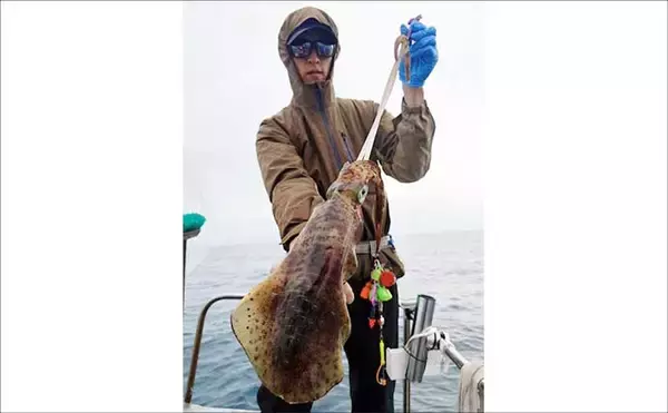 「【沖釣り釣果速報】茱崎沖の中深海釣りでマダラ好食い！肉厚良型が続々浮上（北陸）」の画像