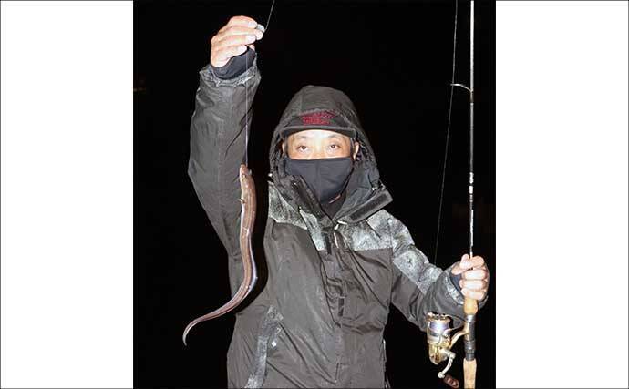 誰でもできるアナゴの夜釣り入門　必要タックル・釣り方・さばき方まで総まとめ