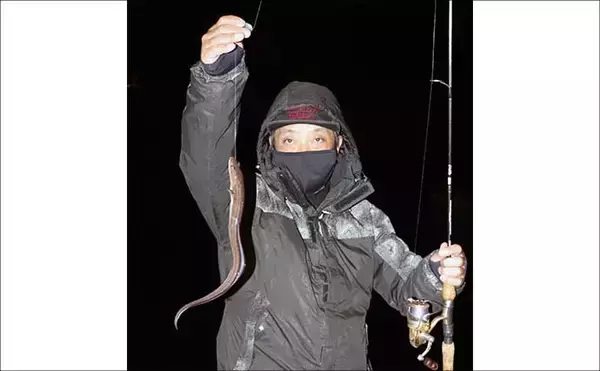 「誰でもできるアナゴの夜釣り入門　必要タックル・釣り方・さばき方まで総まとめ」の画像