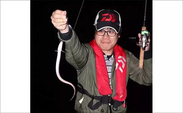 「誰でもできるアナゴの夜釣り入門　必要タックル・釣り方・さばき方まで総まとめ」の画像