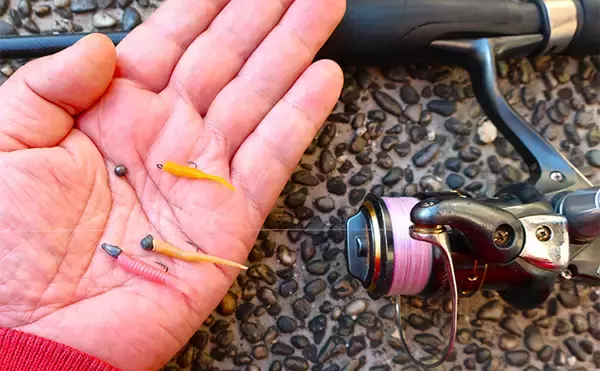 「「躍起になって小型メバルを狙ってみた！」 リグ極小化でメバル5匹を手中」の画像