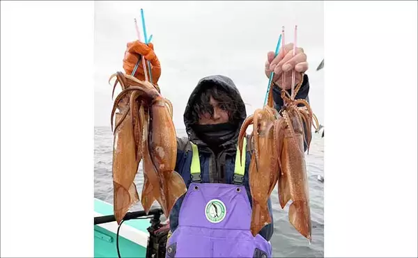 「【沖釣り釣果速報】タイラバ便でアマダイ船中15匹！マダイも交じり多彩な釣果（北陸）」の画像