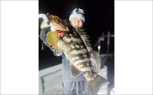 「【沖釣り釣果速報】タイラバ便でアマダイ船中15匹！マダイも交じり多彩な釣果（北陸）」の画像