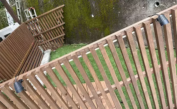 「「コノシロが掬い放題の宿？」海まで徒歩0分のゲストハウス『HASHINSHITA』に泊まってみた」の画像