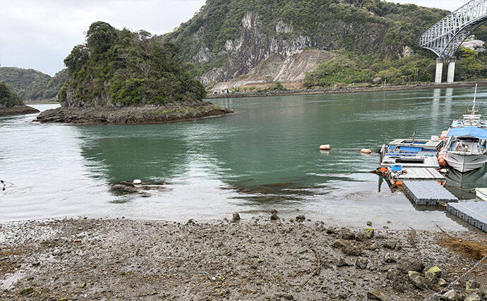 「コノシロが掬い放題の宿？」海まで徒歩0分のゲストハウス『HASHINSHITA』に泊まってみた
