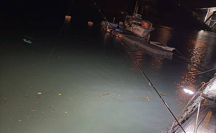 「コノシロが掬い放題の宿？」海まで徒歩0分のゲストハウス『HASHINSHITA』に泊まってみた