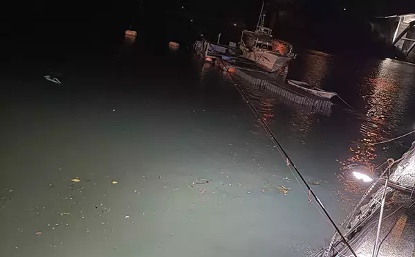 「「コノシロが掬い放題の宿？」海まで徒歩0分のゲストハウス『HASHINSHITA』に泊まってみた」の画像