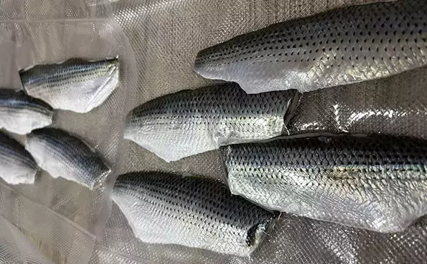 「「コノシロが掬い放題の宿？」海まで徒歩0分のゲストハウス『HASHINSHITA』に泊まってみた」の画像