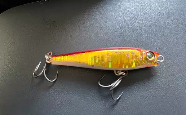 「サーフゲーム愛好家が【DUEL】のルアーを愛するワケ　コスパが最強？」の画像