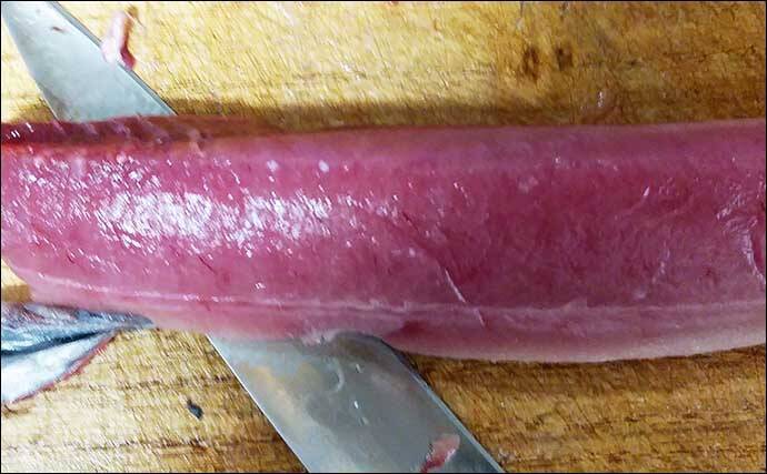 釣魚で作る「ご飯のお供」レシピ：スマガツオのオイル漬け　隠し味はゴマ油