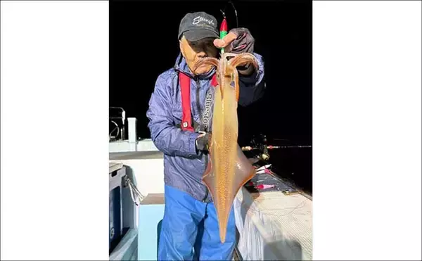「【沖釣り釣果速報】夜焚きイカ釣りでパラソル級含む良型ヤリイカを好捕（福岡）」の画像
