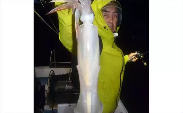 「【沖釣り釣果速報】夜焚きイカ釣りでパラソル級含む良型ヤリイカを好捕（福岡）」の画像