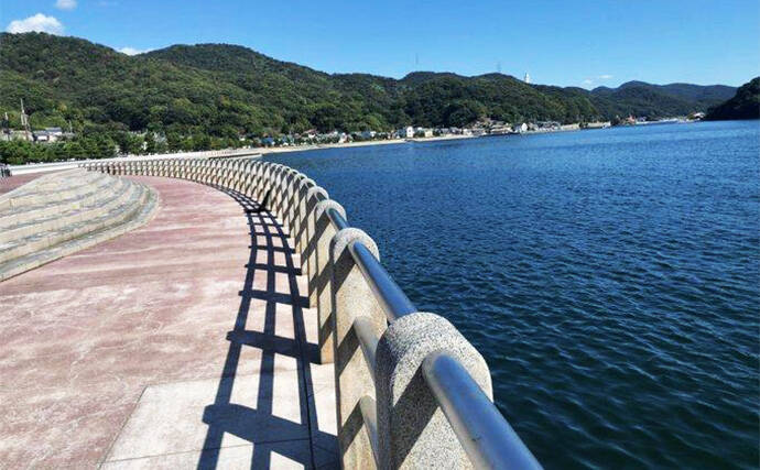 陸っぱりから秋のヒラメを追う！ クロダイ・マゴチ・キジハタと多彩ゲストと対面