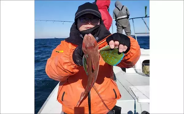 「「まずはアジ確保から！」東京湾アジ泳がせ釣りで4.8kgワラサを手中【けやき丸】」の画像