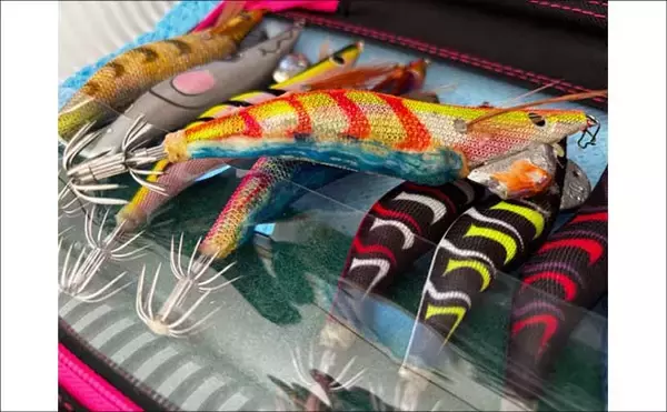 「「初のアオリイカ釣るまで10ヶ月！」エギングで釣果を上げるには強い精神力が必要？」の画像