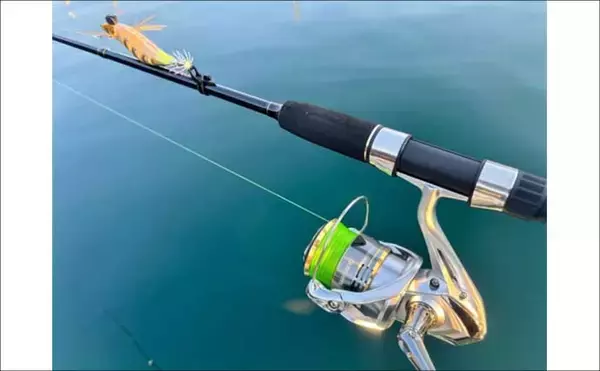 「「初のアオリイカ釣るまで10ヶ月！」エギングで釣果を上げるには強い精神力が必要？」の画像