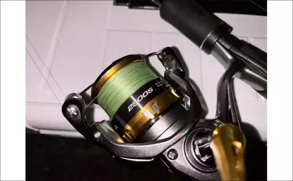 「「初のアオリイカ釣るまで10ヶ月！」エギングで釣果を上げるには強い精神力が必要？」の画像