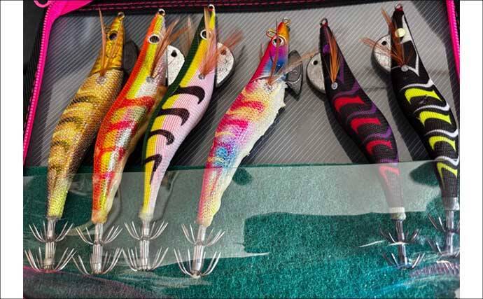 「初のアオリイカ釣るまで10ヶ月！」エギングで釣果を上げるには強い精神力が必要？