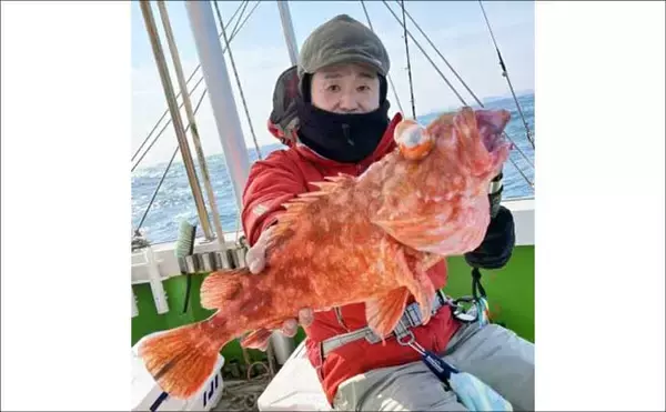 「石鯛五目便で好ゲスト混じりに本命イシダイ顔見せ【船釣り最新情報／大分・熊本】」の画像