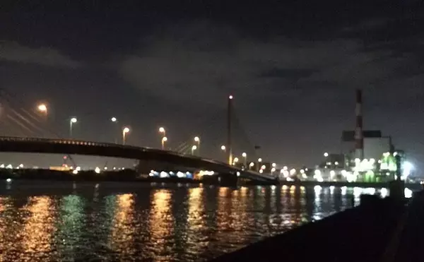 釣れる常夜灯と釣れない常夜灯は何が違う？　「少し暗い場所」に目を向けてみよう