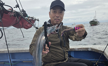 タチウオに何度かじられても「エサが無傷」の衝撃　イワシの代わりに新素材エサを使ってみた
