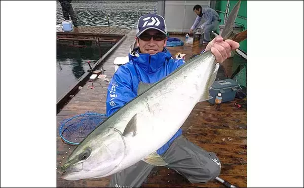 「【海上釣り堀入門】釣果アップのための「仕掛けセット・竿・エサ」について徹底解説」の画像