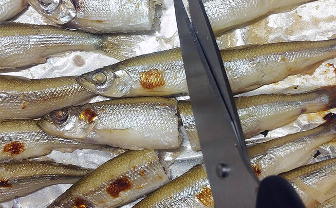 釣魚で作る「保存可能なおつまみ」レシピ：ワカサギのグリエ　食べる前にレンジでチン