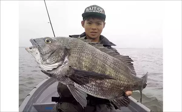 「極寒の真冬の夜でもクロダイが連発！　温排水エリアをルアーで狙い撃ち」の画像