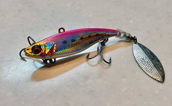 極寒の真冬の夜でもクロダイが連発！　温排水エリアをルアーで狙い撃ち