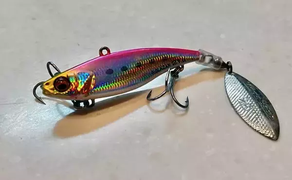 「極寒の真冬の夜でもクロダイが連発！　温排水エリアをルアーで狙い撃ち」の画像