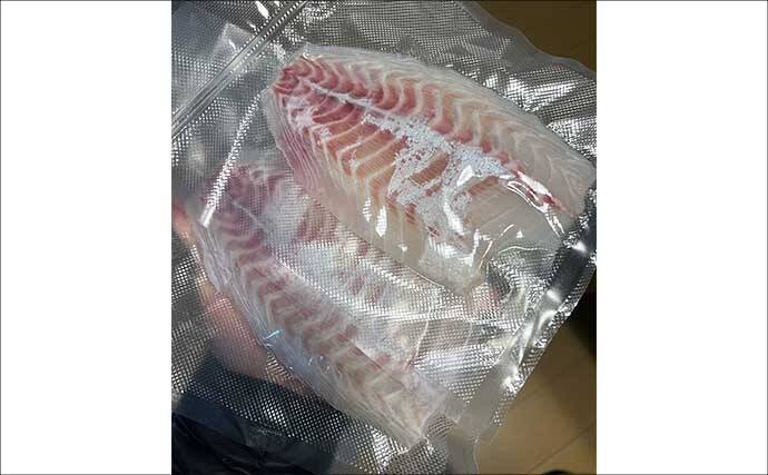 極寒の真冬の夜でもクロダイが連発！　温排水エリアをルアーで狙い撃ち