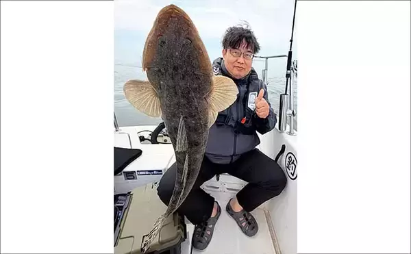 「60cm級『マーゴン』マゴチをキャッチ！【オフショアルアー釣果速報5選・愛知】」の画像