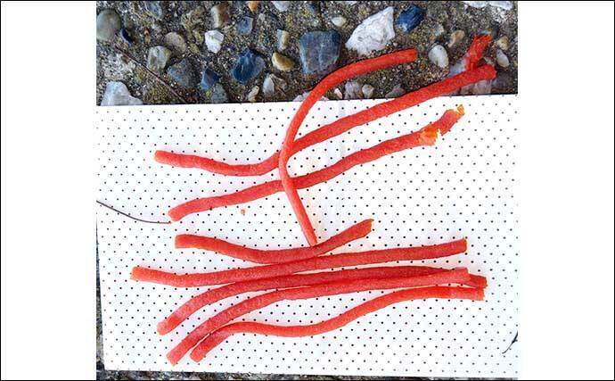 ハゼ釣りでアタリが連発！ 天然成分100%の人口エサ【ポケミミズ】とは？