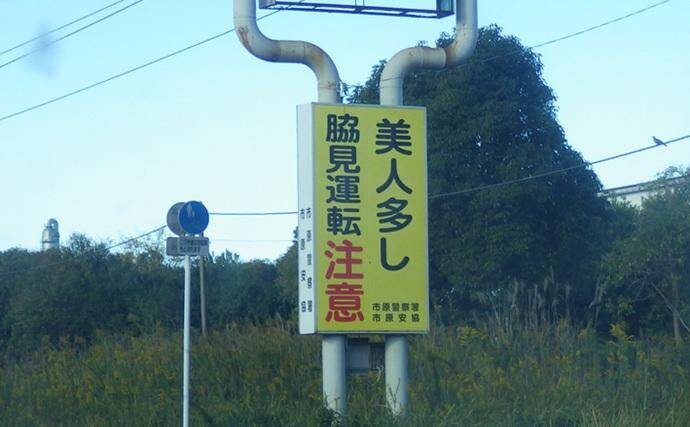 落ちハゼ釣りで13cm頭にマハゼ9匹をキャッチ【千葉】釣れれば良型率高め