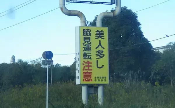 「落ちハゼ釣りで13cm頭にマハゼ9匹をキャッチ【千葉】釣れれば良型率高め」の画像