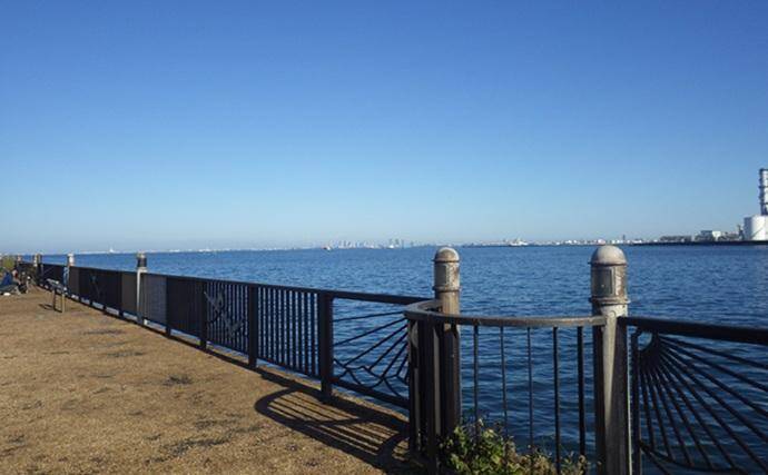 落ちハゼ釣りで13cm頭にマハゼ9匹をキャッチ【千葉】釣れれば良型率高め