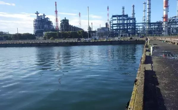 「落ちハゼ釣りで13cm頭にマハゼ9匹をキャッチ【千葉】釣れれば良型率高め」の画像