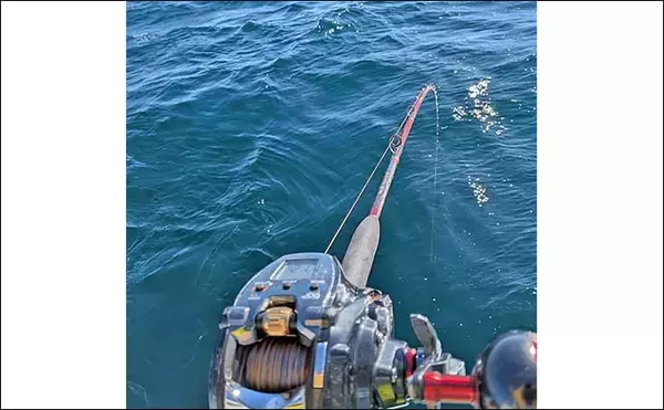 「「浅場9mで訪れたチャンスをものに！」伊良湖沖の泳がせ釣りでヒラメ2匹手中【愛知】」の画像