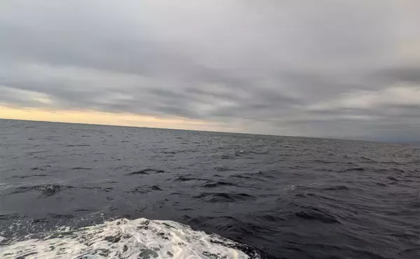 「自作の餌木でティップランエギングに挑戦【三重】3時間船中アタリ無しの結果は果たして」の画像